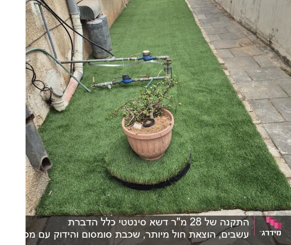 עציץ על דשא סינתטי ליד צינורות השקיה